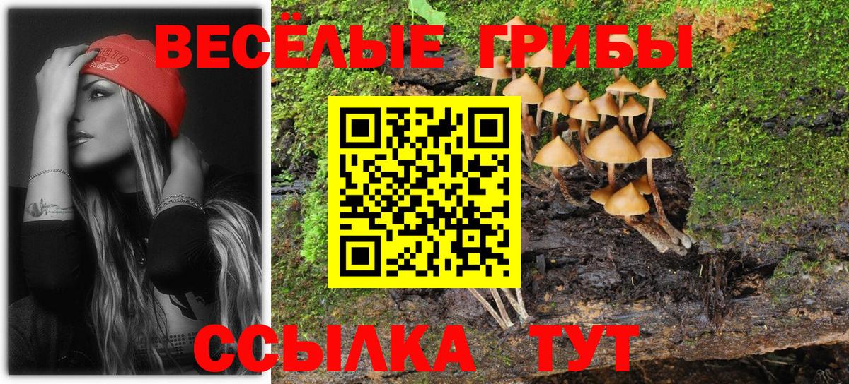Галлюциногенные грибы Psilocybine cubensis  Вход с VPN  Галлюциногенные грибы MAGIC MUSHROOMS  магазин  наркотиков  Пугачёв 